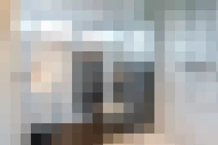 Snipdonk 13 Veghel thumbnail 25