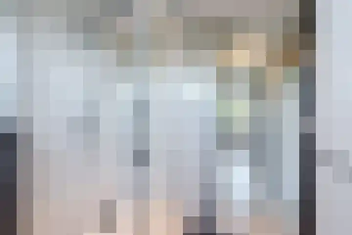 Snipdonk 13 Veghel thumbnail 26