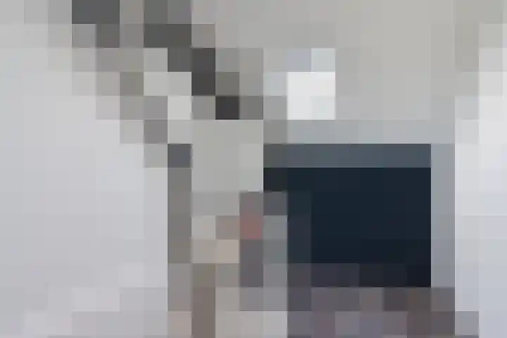 Snipdonk 13 Veghel thumbnail 27