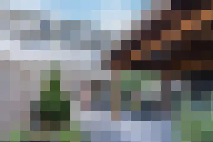 Snipdonk 13 Veghel thumbnail 30