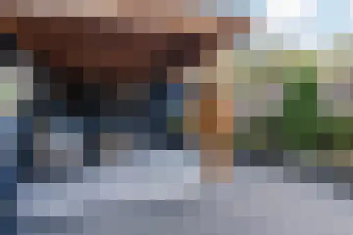 Snipdonk 13 Veghel thumbnail 32