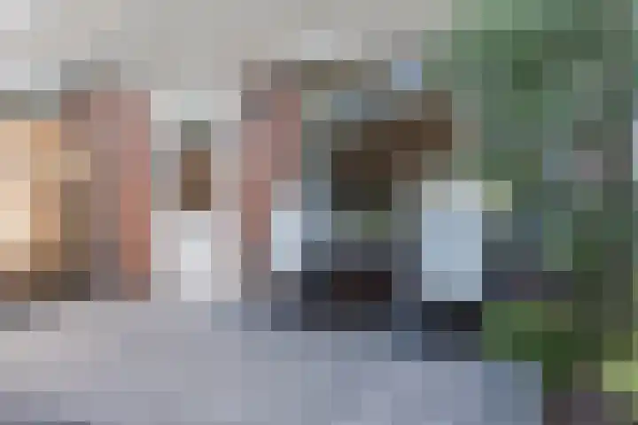 Snipdonk 13 Veghel thumbnail 33