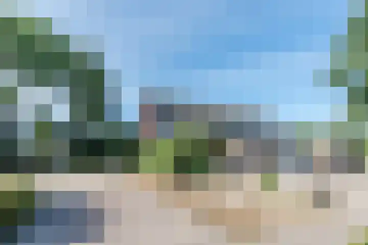 Snipdonk 13 Veghel thumbnail 34