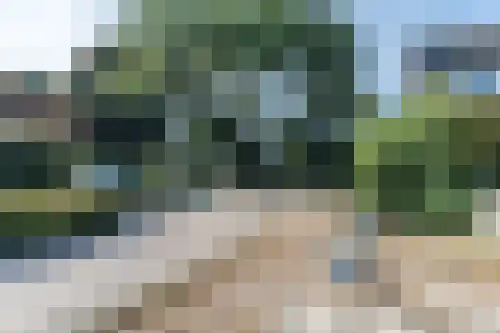 Snipdonk 13 Veghel thumbnail 36