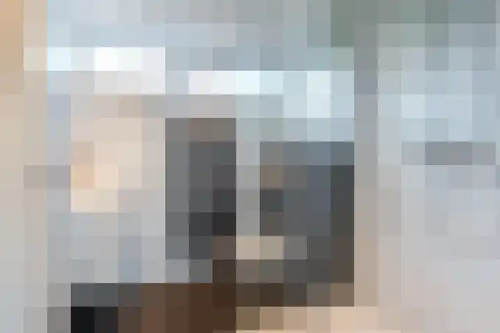 Snipdonk 13 Veghel thumbnail 5
