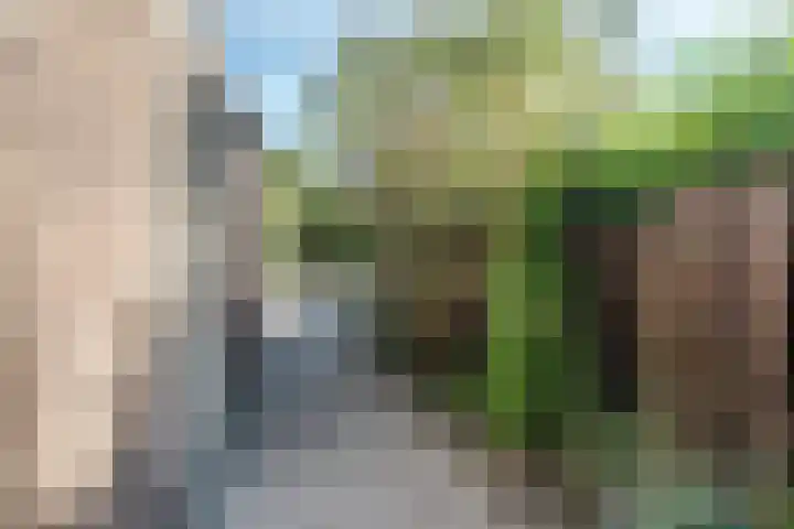 Snipdonk 13 Veghel thumbnail 7