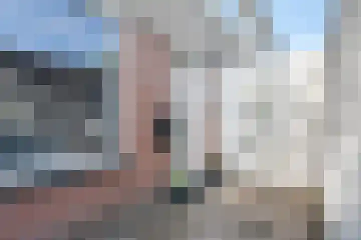 Snipdonk 13 Veghel thumbnail 8