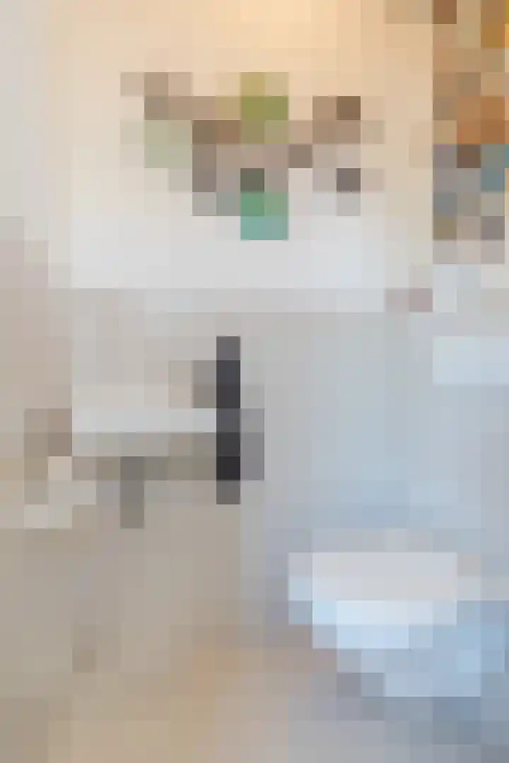 Snipdonk 13 Veghel thumbnail 9