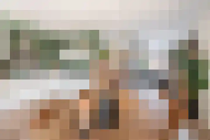 Snipdonk 47 Veghel thumbnail 10