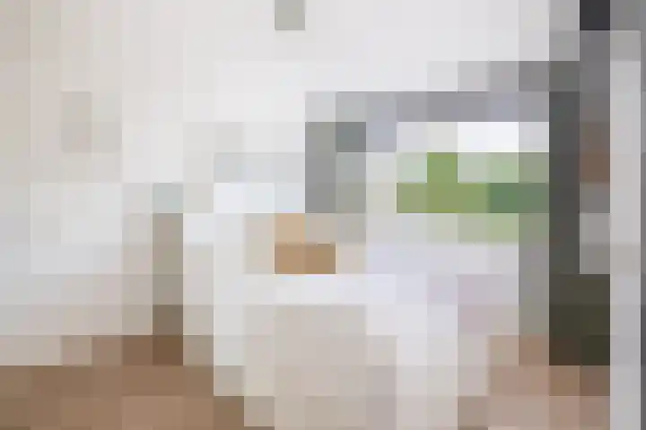 Snipdonk 47 Veghel thumbnail 11
