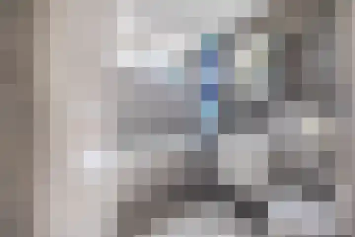 Snipdonk 47 Veghel thumbnail 12