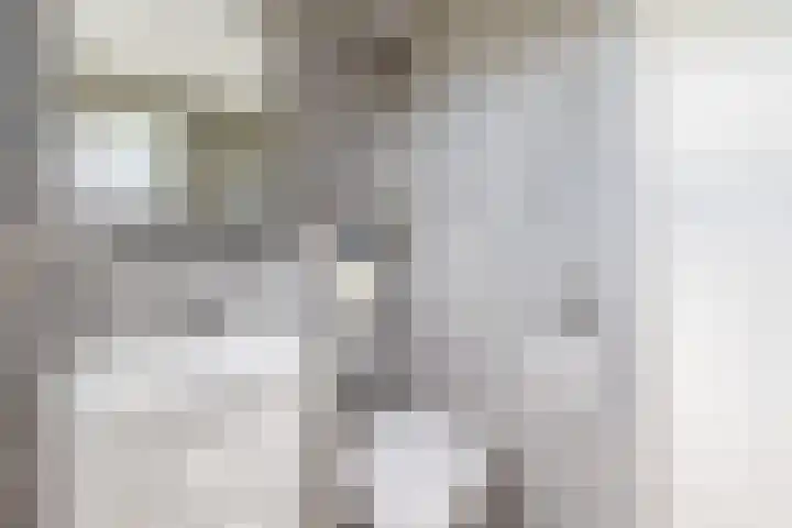 Snipdonk 47 Veghel thumbnail 13