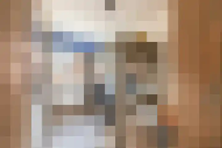 Snipdonk 47 Veghel thumbnail 16