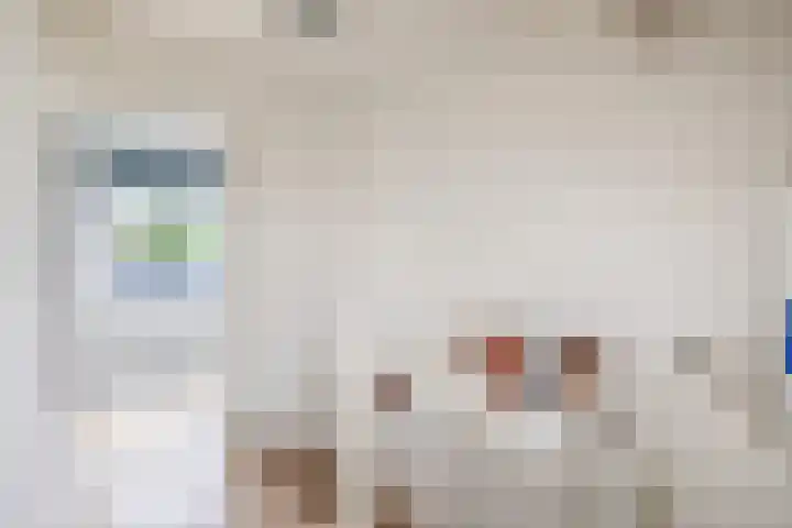Snipdonk 47 Veghel thumbnail 17