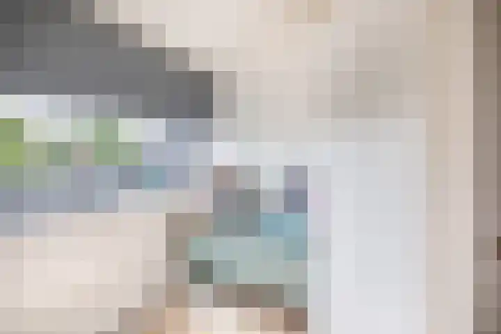 Snipdonk 47 Veghel thumbnail 19