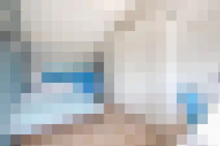 Snipdonk 47 Veghel thumbnail 20