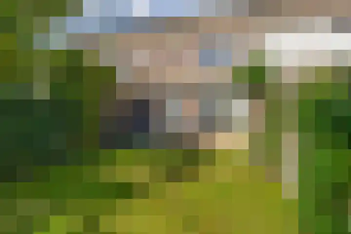 Snipdonk 47 Veghel thumbnail 21