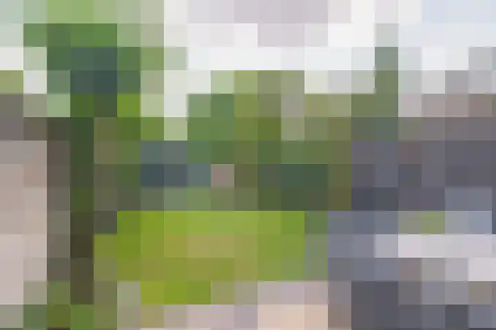 Snipdonk 47 Veghel thumbnail 22