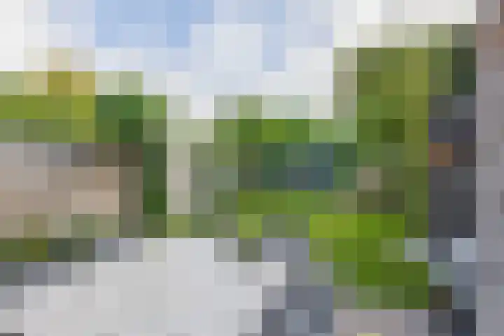 Snipdonk 47 Veghel thumbnail 23