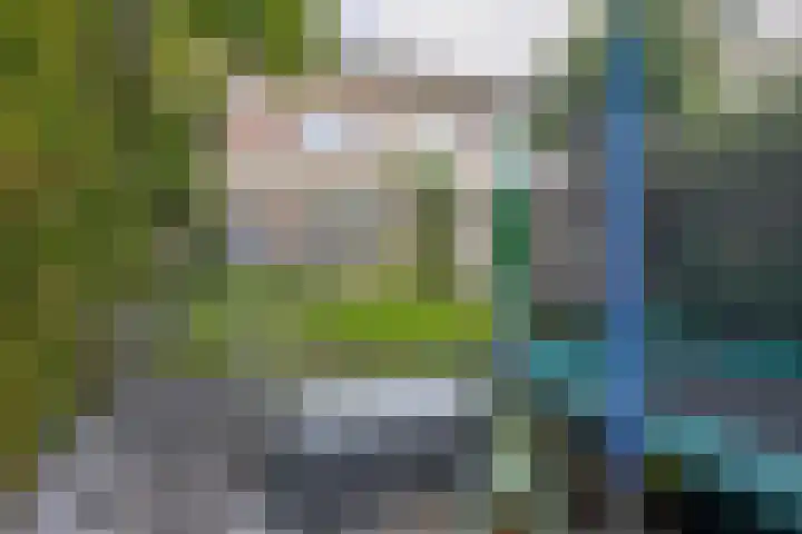 Snipdonk 47 Veghel thumbnail 24