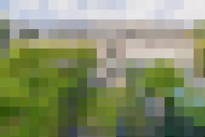 Snipdonk 47 Veghel thumbnail 25