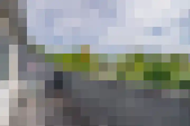 Snipdonk 47 Veghel thumbnail 26
