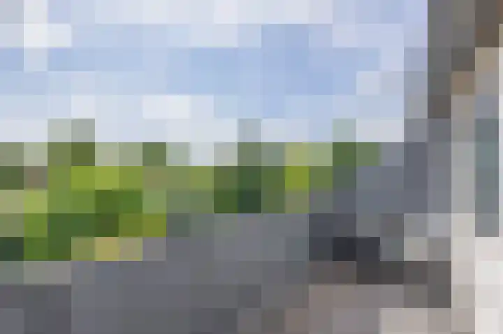 Snipdonk 47 Veghel thumbnail 27