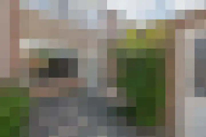 Snipdonk 47 Veghel thumbnail 28