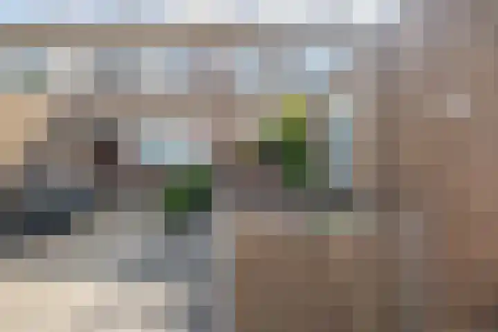 Snipdonk 47 Veghel thumbnail 29