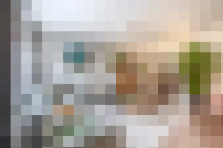 Snipdonk 47 Veghel thumbnail 4