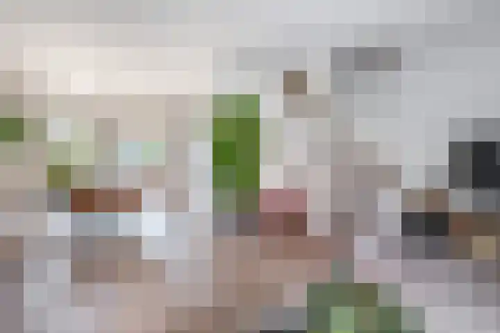 Snipdonk 47 Veghel thumbnail 6