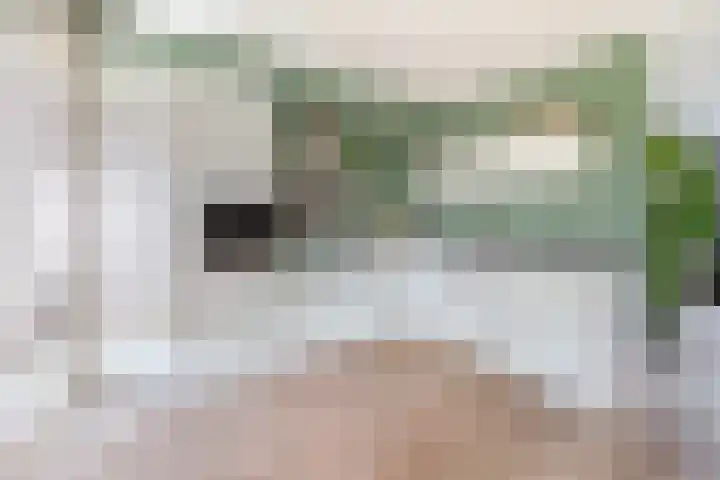 Snipdonk 47 Veghel thumbnail 7