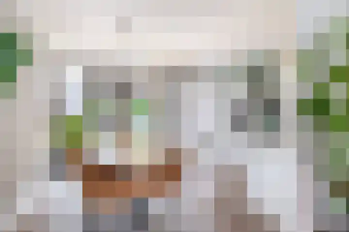 Snipdonk 47 Veghel thumbnail 8