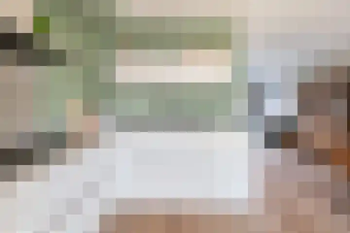 Snipdonk 47 Veghel thumbnail 9