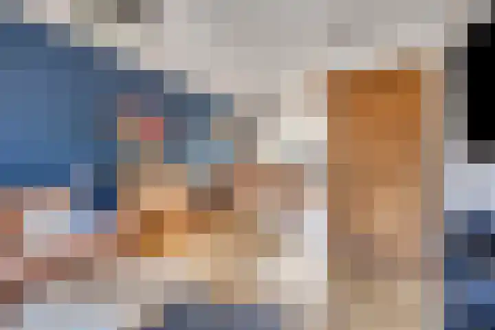Snipdonk 68 Veghel thumbnail 12