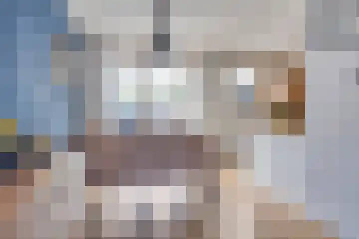 Snipdonk 68 Veghel thumbnail 13