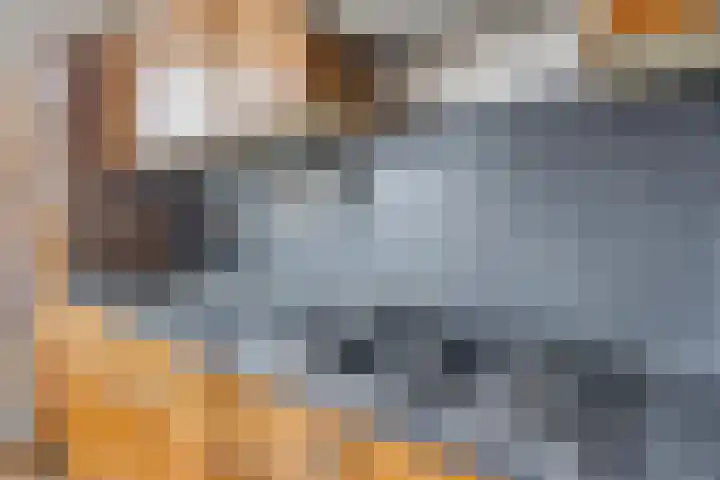 Snipdonk 68 Veghel thumbnail 16