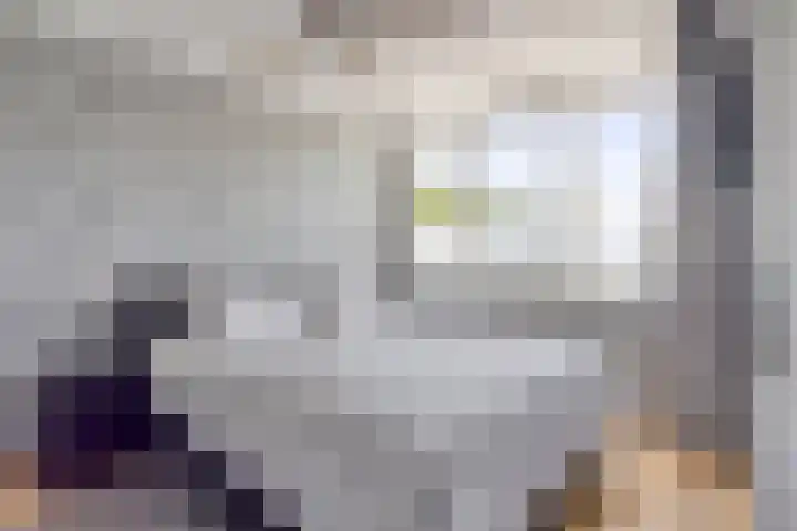 Snipdonk 68 Veghel thumbnail 18