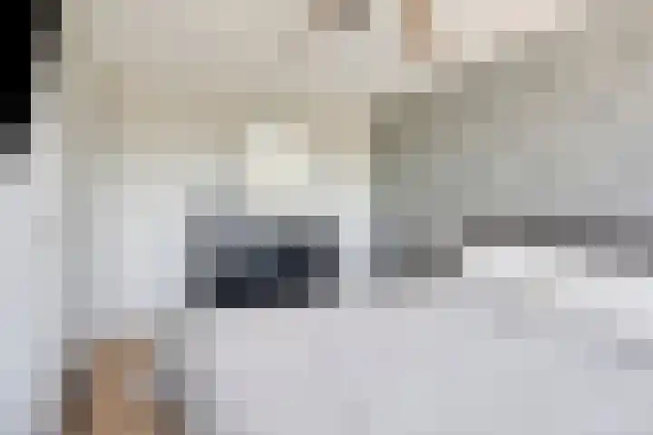 Snipdonk 68 Veghel thumbnail 19