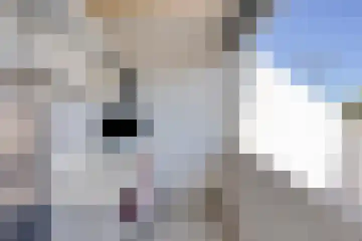 Snipdonk 68 Veghel thumbnail 24