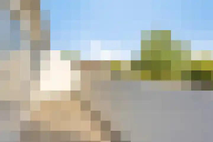 Snipdonk 68 Veghel thumbnail 27