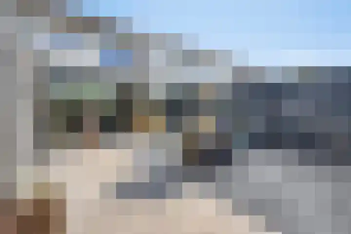 Snipdonk 68 Veghel thumbnail 31