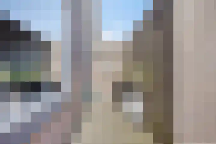 Snipdonk 68 Veghel thumbnail 8