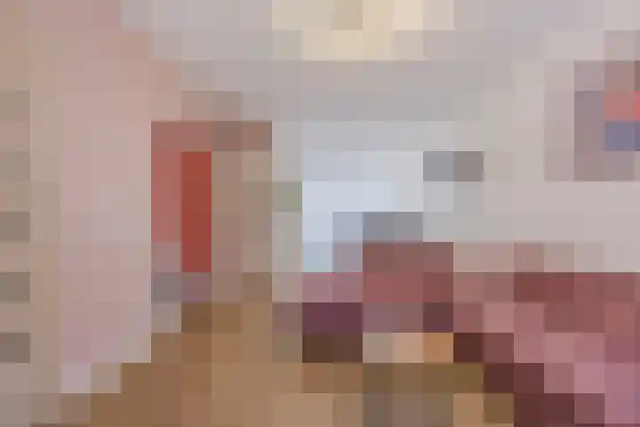 Snipdonk 7 Veghel thumbnail 12