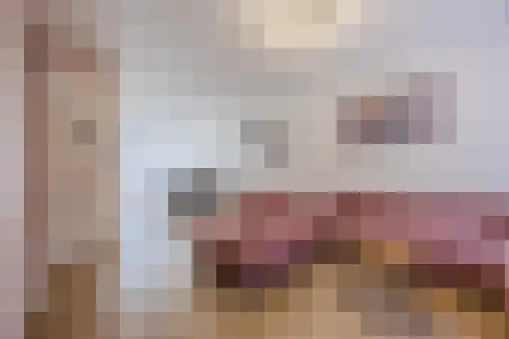 Snipdonk 7 Veghel thumbnail 13