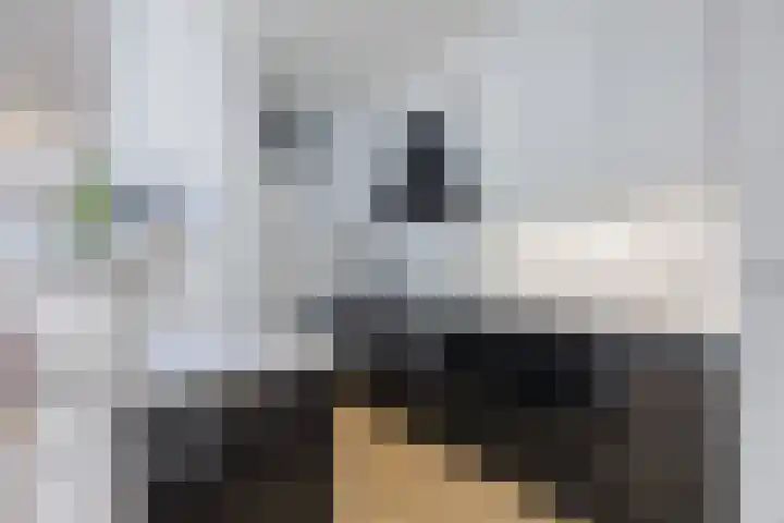 Snipdonk 7 Veghel thumbnail 15