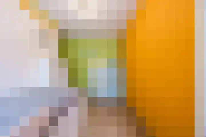 Snipdonk 7 Veghel thumbnail 23