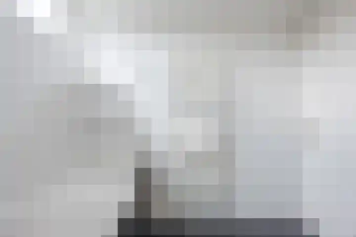 Snipdonk 7 Veghel thumbnail 27