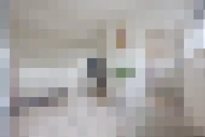 Snipdonk 7 Veghel thumbnail 32