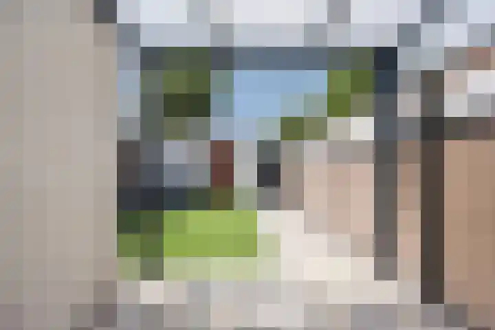 Snipdonk 7 Veghel thumbnail 5